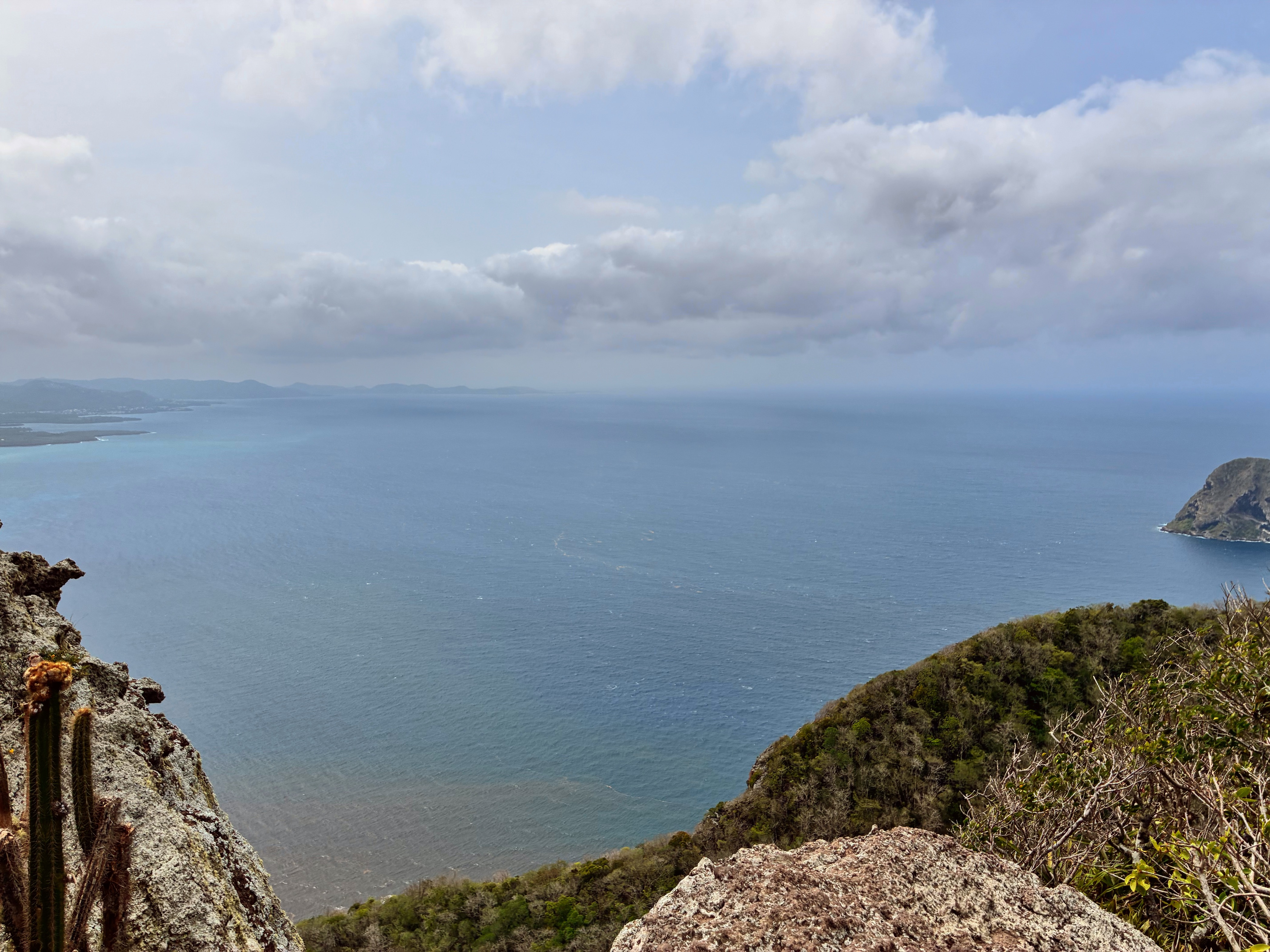 View from the Top